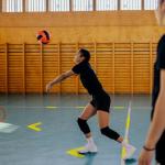 Court Line Markers for Pickleball and Tennis Games