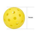 Hofimeta 12 Pack Practice Pickleball Balls - Red