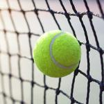 Aoneky 42' Twisted Poly Pickleball Net