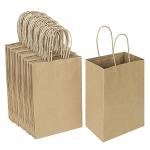 100 Pack Small Kraft Paper Gift Bags