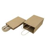 100 Pack Small Kraft Paper Gift Bags