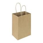 100 Pack Small Kraft Paper Gift Bags