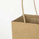 100 Pack Small Kraft Paper Gift Bags