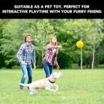 CYCLOTRON 6-Pack Premium Pickleball Balls - Yellow