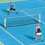 A11N Portable 11ft Pickleball Half Court Net