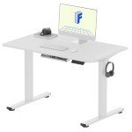 FLEXISPOT Electric Height Adjustable Standing Desk