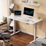 FLEXISPOT Electric Height Adjustable Standing Desk