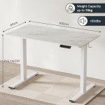FLEXISPOT Electric Height Adjustable Standing Desk