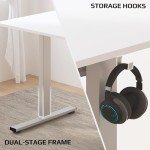 FLEXISPOT Electric Height Adjustable Standing Desk