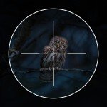 Night Vision Scope for Hunting, 1920x1080 HD