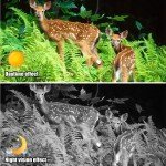 8X Infrared Night Vision Binoculars for Hunting