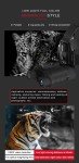 8X Night Vision Binoculars for Hunting and Outdoors