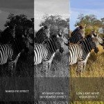 4K Night Vision Binoculars with 10x Zoom