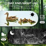 Night Vision Goggles with 36MP Recording for Hunting
