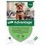 Advantage Spot On Flea Treatment for Small Pets