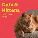 Bob Martin Flea and Tick Repellent for Cats