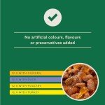 Grain-Free Meat Selection Jelly for Adult Cats