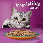 Whiskas Surf & Turf 1+ Cat Food Pouches