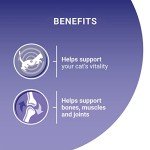 Purina One Mixed Selection in Gravy Cat Food