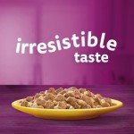 WHISKAS Poultry Selection Wet Cat Food Megapack