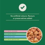 Amazon Complete Fish Selection Cat Food, 4.8 kg