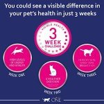 Purina ONE Adult Dry Cat Food - Chicken 6kg