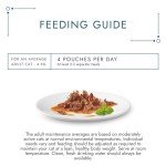 Gourmet Ocean Collection Wet Cat Food 40-Pack