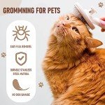 Self-Cleaning Cat & Dog Brush Grooming Set