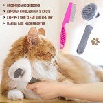 Self-Cleaning Cat & Dog Brush Grooming Set
