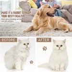 Self-Cleaning Cat & Dog Brush Grooming Set