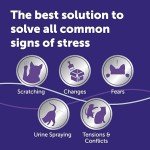 FELIWAY Optimum Cat Calming Pheromone Diffuser