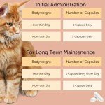 Feliway Cystease Capsules for Cat Stress Relief