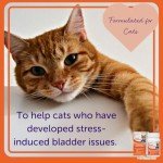 Feliway Cystease Capsules for Cat Stress Relief