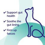 Pro-Kolin Advanced Digestive Aid for Cats 15ml