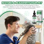 Natural Immune Support Antibiotics for Cats, 60ml