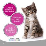 Oral Hygiene Gel for Cats and Small Dogs