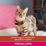 YuMOVE Urinary Care for Cats | 30 Capsules