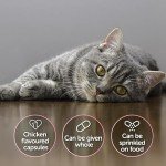 Cats' Urinary Health Support - 30 Capsules