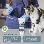 AmeizPet Cat Vitamins Paste for Healthy Fur