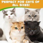 Cat Allergy Relief and Skin Support - 60ml