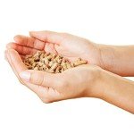 Ultra Absorbent Biodegradable Cat Litter Pellets