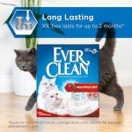 Ever Clean Scented Clumping Cat Litter, 10L