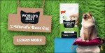 Best Unscented Cat Litter for Multiple Cats