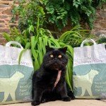 Eco-Friendly Cat Litter Pellets - 7 Litres