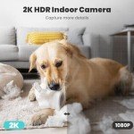 2K Indoor Pet Camera with 360° Motion Tracking