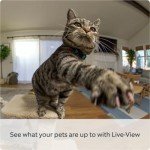 360° Indoor Pet Camera with Two-Way Talk