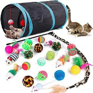 Interactive Cat Toy Set with Collapsible Tunnel
