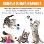 Interactive Cat Toy Set with Collapsible Tunnel