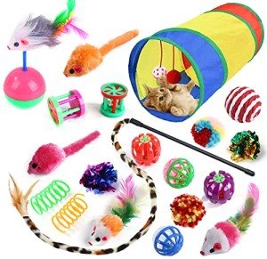 20 Cat Toys: Tunnels, Wands, Mice & More