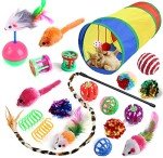 20 Cat Toys: Tunnels, Wands, Mice & More